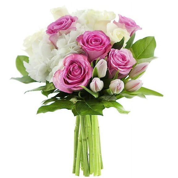 KaBloom : 5 Pink Rose 4 White Rose 5 Pink Tulip 1 White Hydrangea 3 Israeli Ruscus Next-Day Delivery.