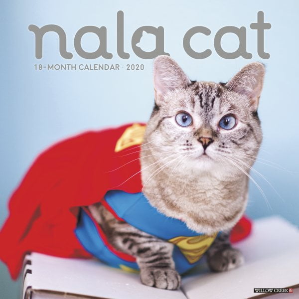 Nala Cat 2020 Calendar - Walmart.com - Walmart.com