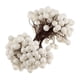 thumbnail image 3 of Mini 100 Unids 40 Cabezas Artificiales Bayas para Hogar Pub Bouquet de Árbol de Navidad Blanco, 3 of 7