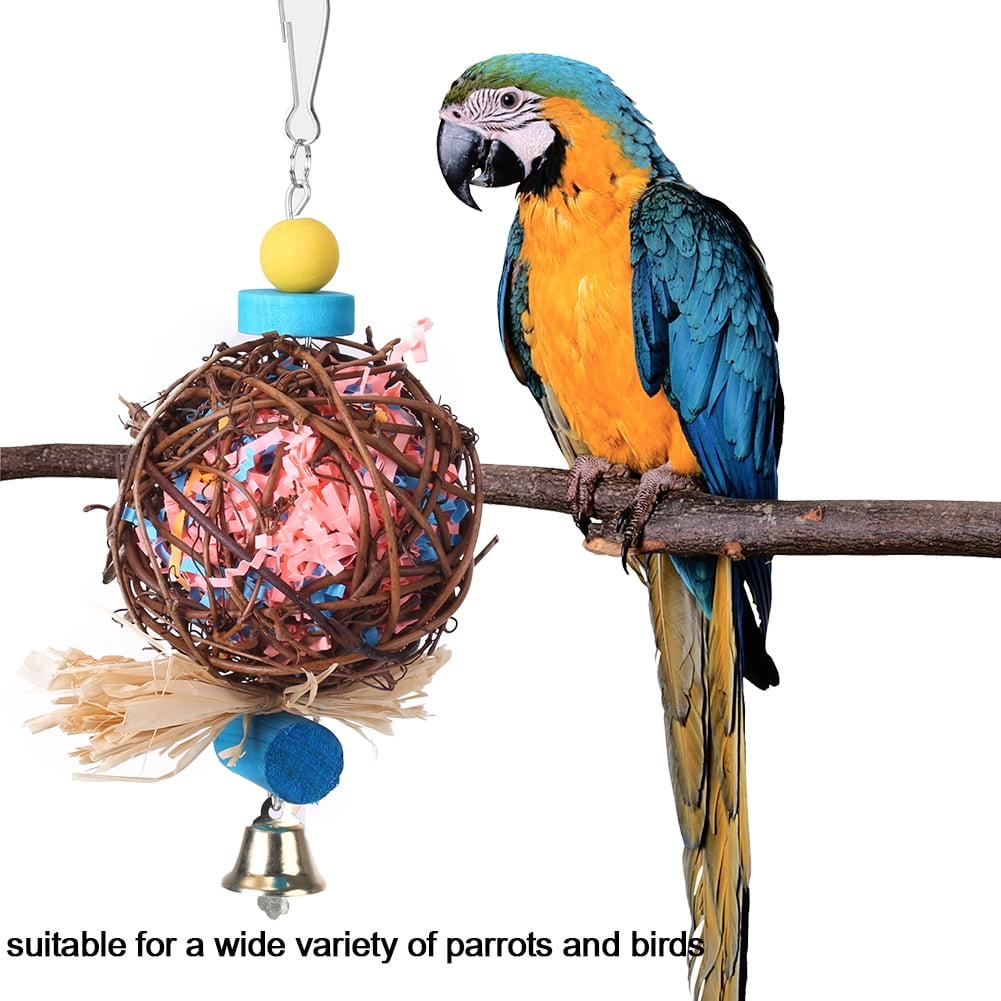 parakeet toys walmart