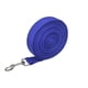 thumbnail image 1 of Xiao Hua Cuerda de nailon duradera para perros, 100 pies de largo, adecuada para pasear y entrenar perros de tamaño mediano a grande, azul, 1 pieza., 1 of 5