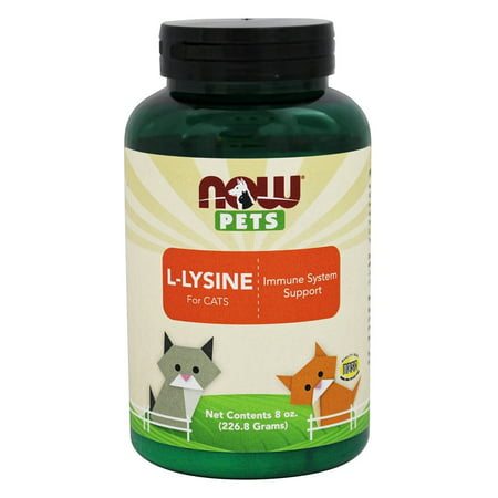 Now Pets L-Lysine for cats 8 oz. Powder (Best Lysine Treats For Cats)