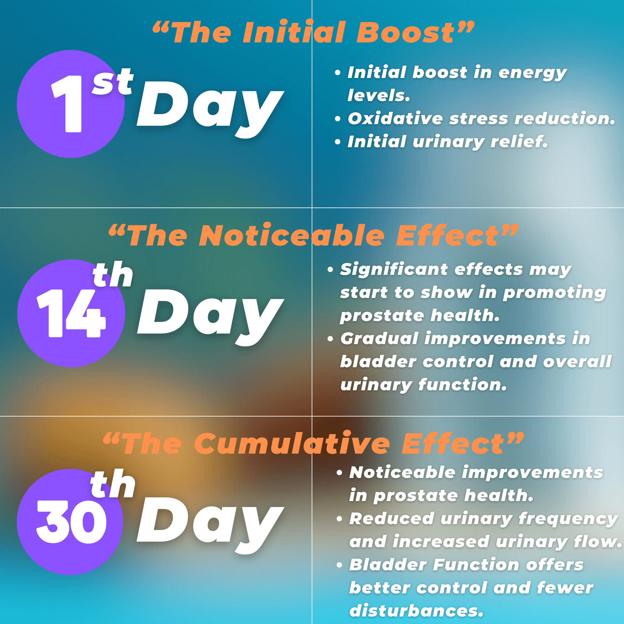 Todicamp Bladder Control Pills & Prostate Health Supplement for Men - Saw Palmetto, Zinc and Pygeum