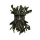 thumbnail image 2 of Escultura de Pared de Resina con Forma de Monstruo de Árbol, Decoración de Halloween | Resina Bronceada | 30,5 X 20 X 6 Cm | 0,95 Kg | Regalo Navideño Único | Decoración para Jardín o Patio, 2 of 7