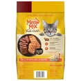 Meow Mix Tender Centers Dry Cat Food with Basted Bites, Beef & Salmon