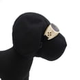thumbnail image 2 of Gafas para perros Doggles Ils Chrome Large con protección UV, 2 of 2