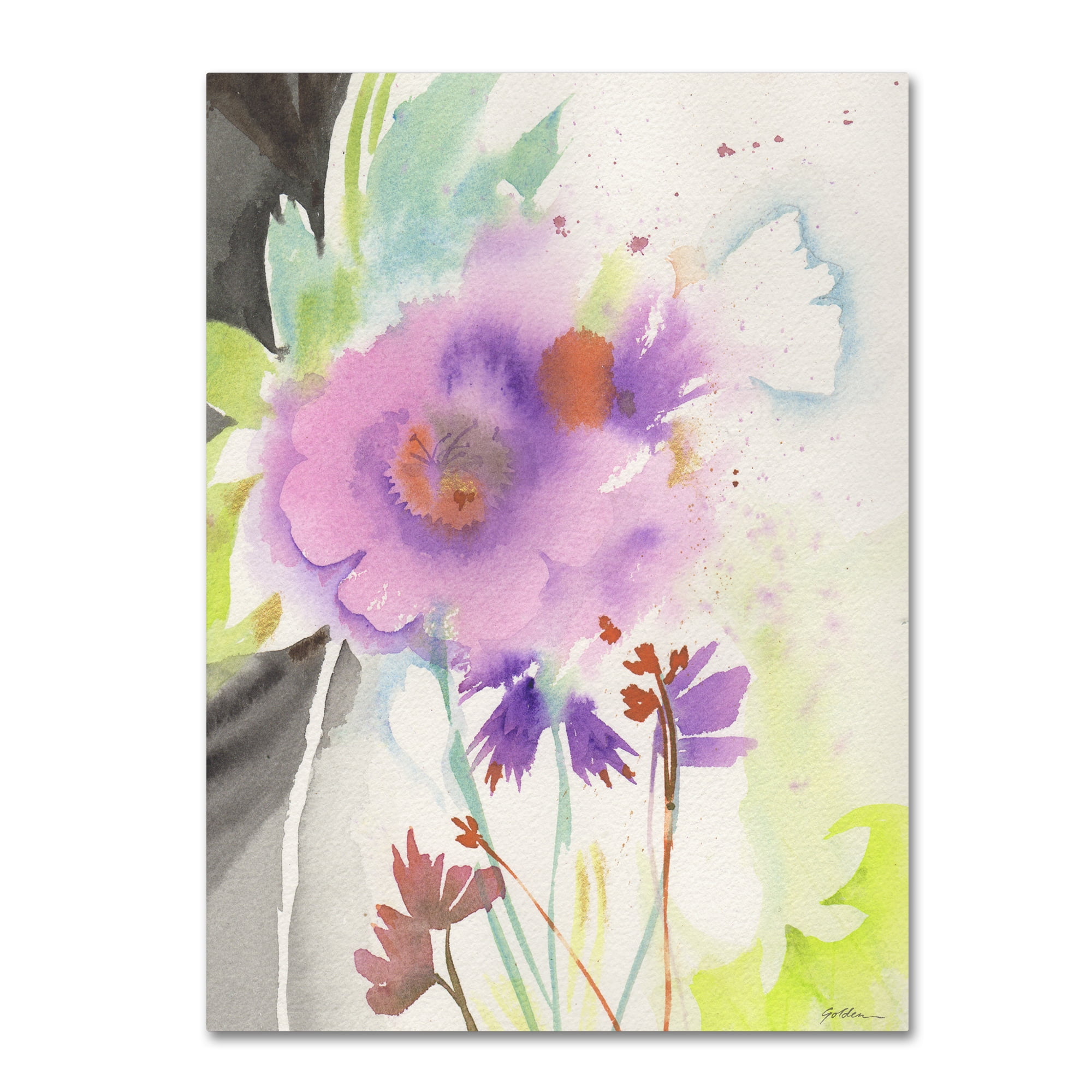 Trademark Fine Art "Mauve Garden Shadows" Canvas Art by Sheila Golden