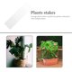 thumbnail image 3 of BESTYASH 10Ud Soportes De Tallo Transparente En Acrílico Para Plantas Accesorio Ideal Para Jardinería, 3 of 8