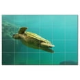thumbnail image 1 of Turtle Ceramic Tile Mural Kitchen Backsplash Bathroom Shower, 402983-XL64, 1 of 3