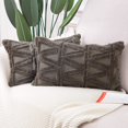 thumbnail image 1 of 2 uds marrón grisáceo 30x50cm suave lana de felpa corta terciopelo fundas de cojines decorativos estilo de lujo para sofá dormitorio JM, 1 of 5