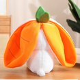 thumbnail image 4 of Muñeco de peluche Kawaii BANYUO conejo de fresa 20-45cm, 4 of 4