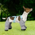 thumbnail image 3 of Dog Boots with Suspenders Winter Snow Suspender Boots for Dogs Waterproof Dog Suspender Boots Anti-Slip Dog Boot Suspenders for Small Medium Large Dogs, 3 of 7