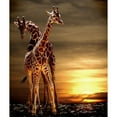 thumbnail image 2 of CafePress - Giraffes Throw Blanket - Soft Fleece Throw Blanket, 50"x60" for All Ages, 2 of 2
