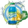 thumbnail image 2 of Everfresh Island Punch Glass Bottle 16 fl oz (Pack of 12), 2 of 3