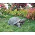 thumbnail image 3 of Grande Tortue, 3 of 4