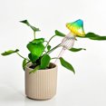 thumbnail image 5 of Globos de riego automático Yuanzi de 500 ml, paquete de 2, para plantas de interior en maceta, sistema de riego por goteo para jardineros de vacaciones y perezosos., 5 of 5