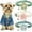 Beige+Green+Blue, variant on XS Flower Cat Dog Collar with Bell, Girl Cute Fancy Puppy Collar with Bells for XXS XS Tiny Little Kitten Pet Female Dogs, Neck 8-12 Inch