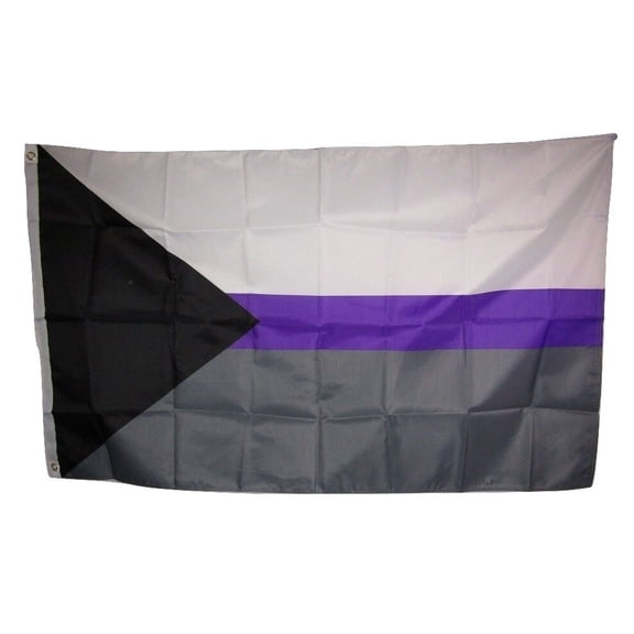 3x5 Demisexual Demi Sexual Human Rights Flag 3'x5' Banner Brass Grommets