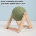 thumbnail image 5 of Catnip Toys for Cats Multifunctional Interactive Catnip Toy Cat Floor Ball Toy Versatile Catnip Flo, 5 of 5