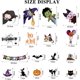 thumbnail image 4 of ZHAOCHENG Decoración de Halloween Adesivi per Finestre Vetrine Gatto Pipistrello Fantasma Vetrofanie Raccapriccianti Pegatinas de Halloween Accesorios para fiesta de Halloween Festival, naranja, 21x29, 4 of 5