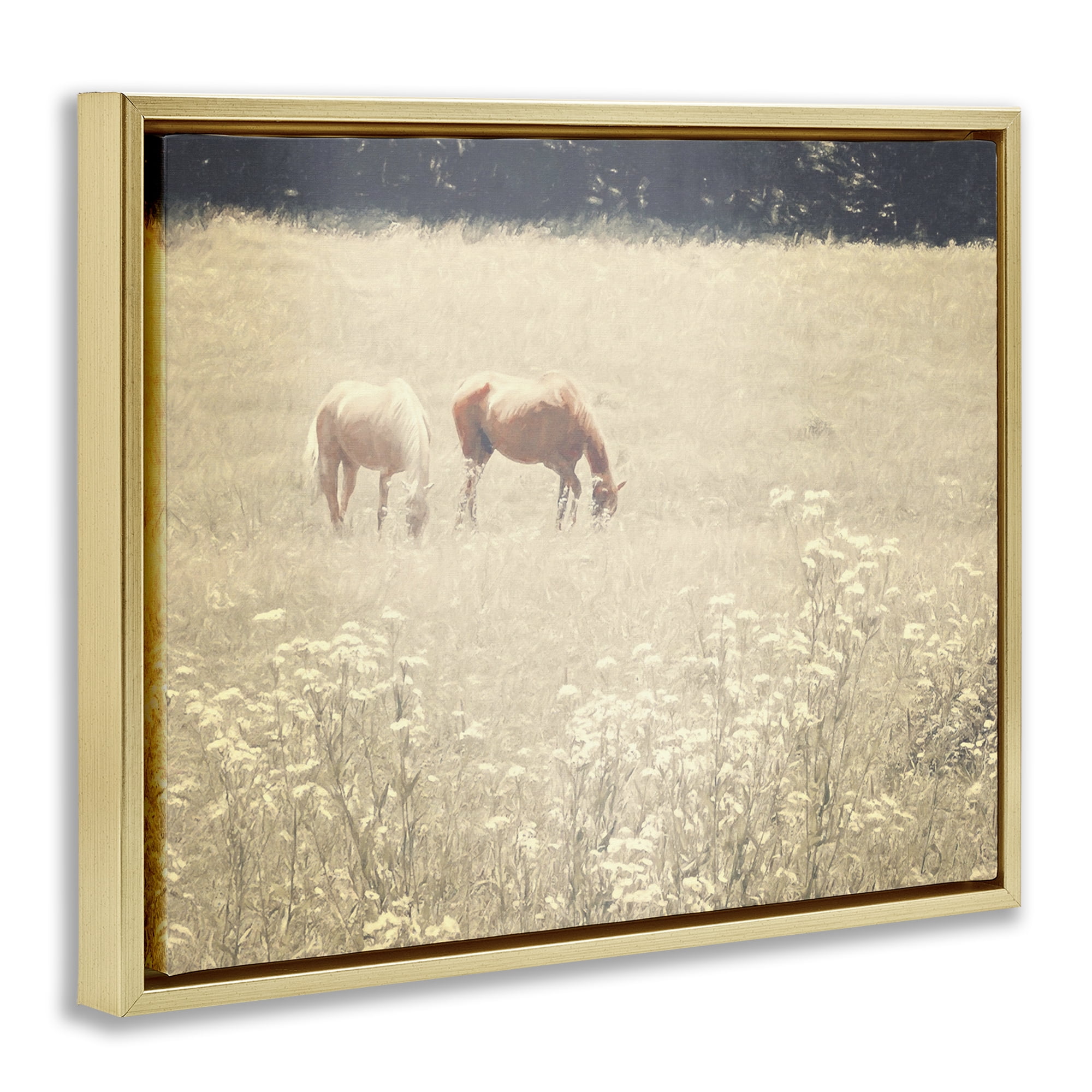 Stupell Industries Pair of Horses Grazing Landscape & Nature Photography Gold Floater Framed Canvas Art Print Wall Art, 31 x 25