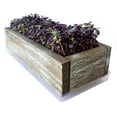thumbnail image 2 of Organic Indoor Microgreens Growing Kit - With Reclaimed Barnwood Style Planter - Aged Brown - Complete Soil Based Indoor Garden Kit With Organic Purple Radish Microgreens Seeds - Rustic Kitchen Decor, 2 of 5