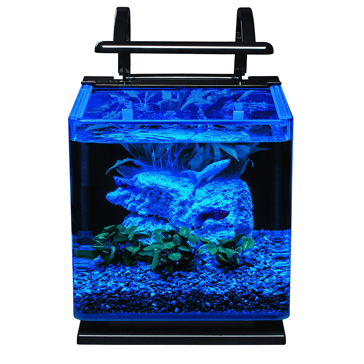Marineland Contour 3 Gallon Glass Aquarium Kit with LED Lights photo 3