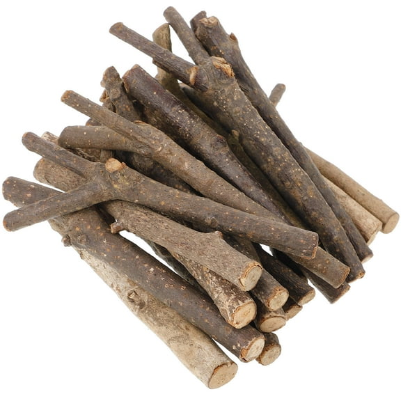 GAXIRE 20 Pieces Natural Wood Log Sticks for Craft Projects, Handicrafts, Model Building, and Home Decor
