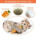 thumbnail image 4 of Christmas Cat Interactive Toy Soft Vegetable Shape Small Series for 5PCS, 4 of 6