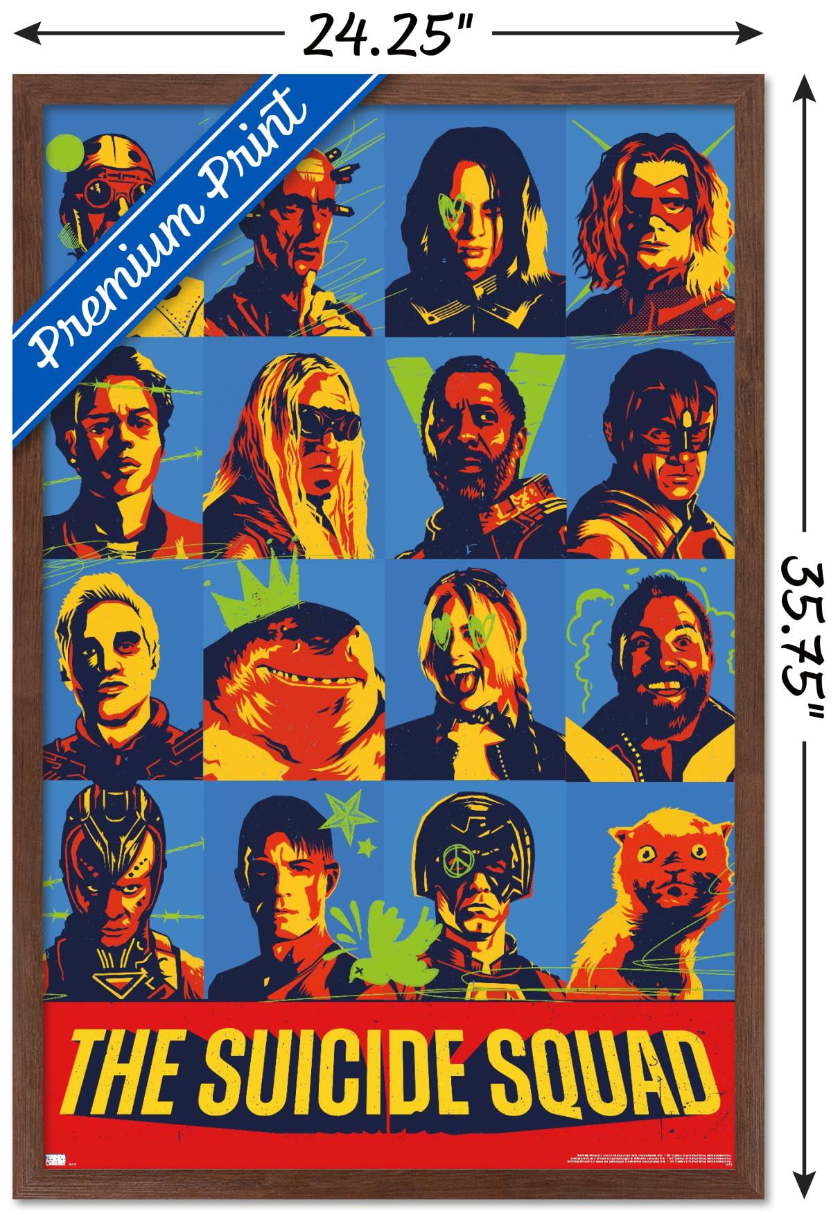 DC Comics Movie The Suicide Squad - Grid Wall Poster, 22.375" x 34", Framed