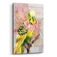 thumbnail image 2 of Epic Art 'Flower Crown Parakeet' by Furbaby Affiliates, Acrylic Glass Wall Art, 16"x24", 2 of 8