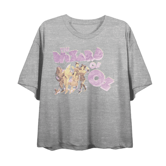 Wizard Of Oz Cartoon Group Shot Women's Heather Gray Crew Neck Short Sleeve Crop Tee-Medium