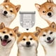 thumbnail image 5 of Cuchillas de repuesto 5 en 1 ajustables compatibles con WAHL, 5 of 6