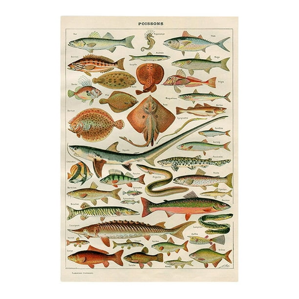 Manta De Pesca Manta Para Aficionados A La Pesca Manta Deportiva Manta Con Motivos De Peces Manta Con Conocimientos Sobre Peces Pescador Único Pesca Para El Padre Y El Abuelo De Un Niño