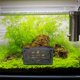 thumbnail image 4 of ADDHAT Caja De Incubación Para Peces Con Malla Suave Y De Cremallera Para Acuario, 4 of 6