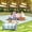 Green White, variant on Picnic Blanket 100''x80'' Waterproof Sandproof Beach Outdoor Camping Mat Extra Large Foldable Gingham Big Travel Essential Accessories Gift Park Patio Lawn Garden Grass Ground Music Festival