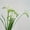 W, variant on Vibrant Artificial Freesia Flowers - 3-Pack Lifelike Plastic Plants for Home and Holiday Decor