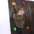 thumbnail image 5 of Rock Climbing Holds with Mounting Screw Holds Up to 230Lbs Kids Adults Rock Wall Holds Indoor Outdoor Playground Rock Climbing Wall Grips-Random Color, 5 of 9