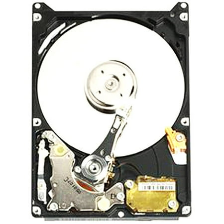 - Western Digital WD800BEVS 80GB 5400RPM SATA 2.5in Laptop Hard Drive
