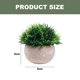 thumbnail image 2 of Mini plantas artificiales, césped verde falso de plástico, baño, oficina en casa, decoración de interiores, 2 of 5