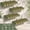 Green Color, variant on 4 Pack Blue and White 3D Stripe Cardboard Awning Decorations for Carnival, Circus Party, Lemonade Stand, Bakery, Ice Cream Truck, Bulletin Board
