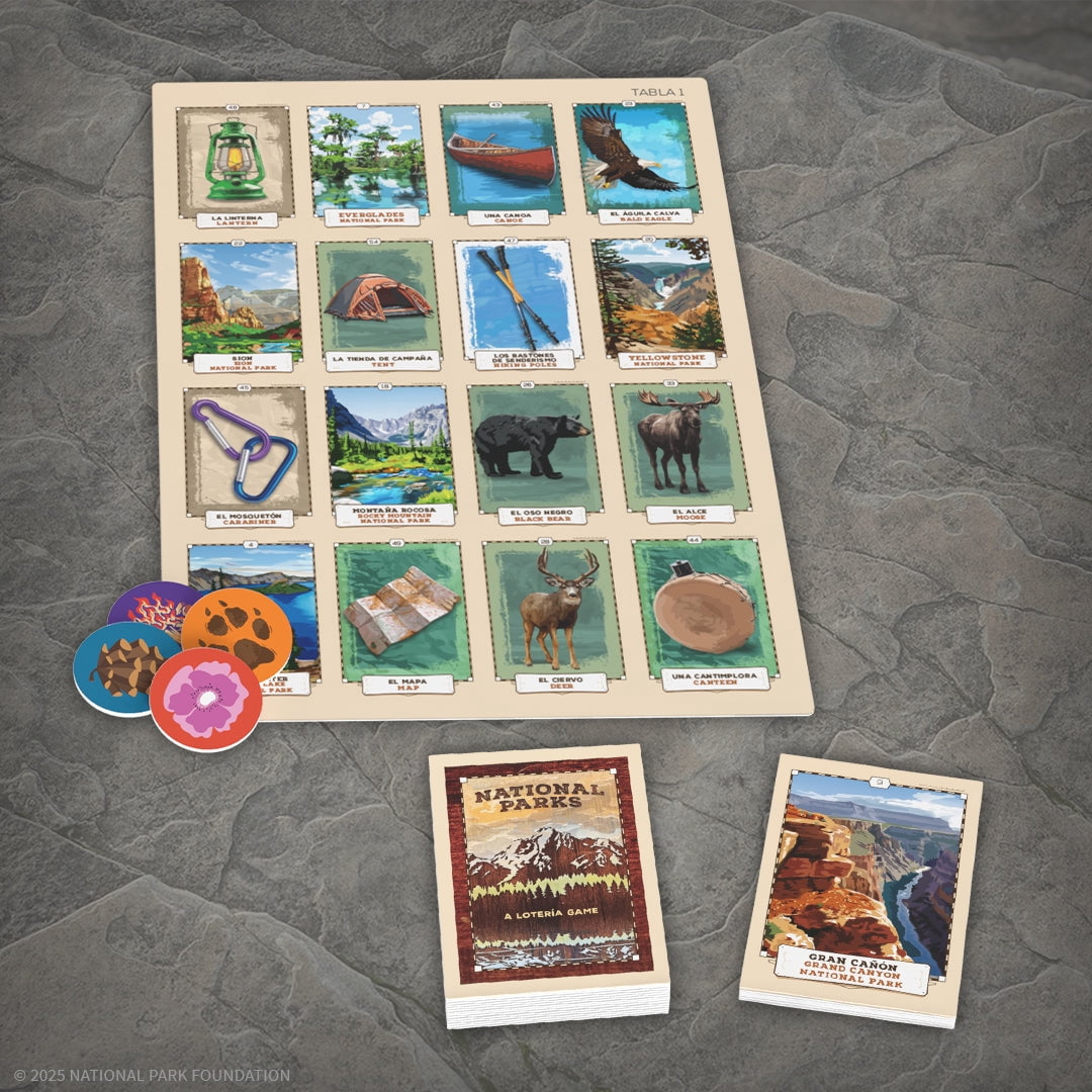 Lotería: Scooby-Doo!™ Game, by USAopoly