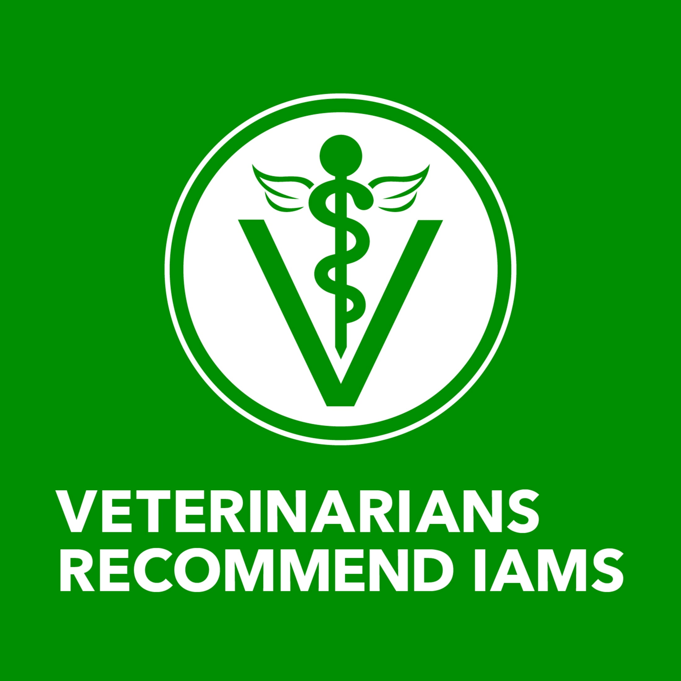 Iams Proactive Health Classic Ground Chicken Or Lamb Wet Dog Food, 13 Oz Cans (12 Pack Variety)
