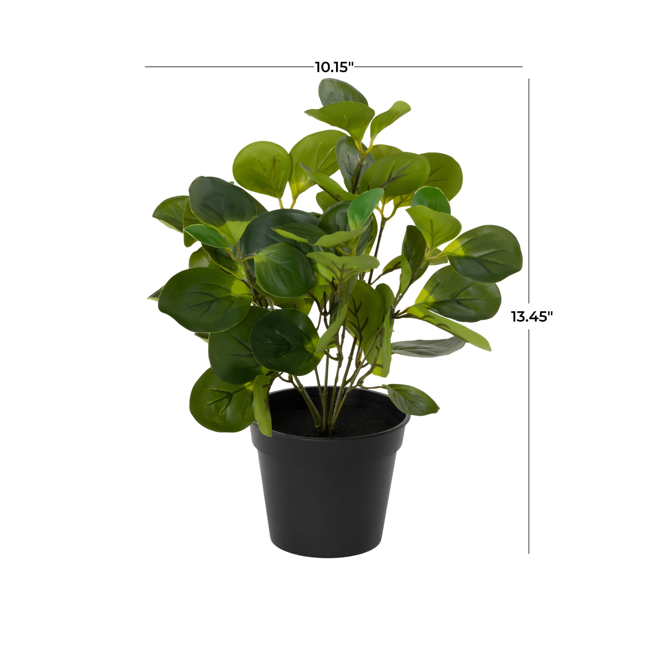 DecMode 13" Artificial Eucalyptus Plant in Realistic Leaves and Black Round Pot