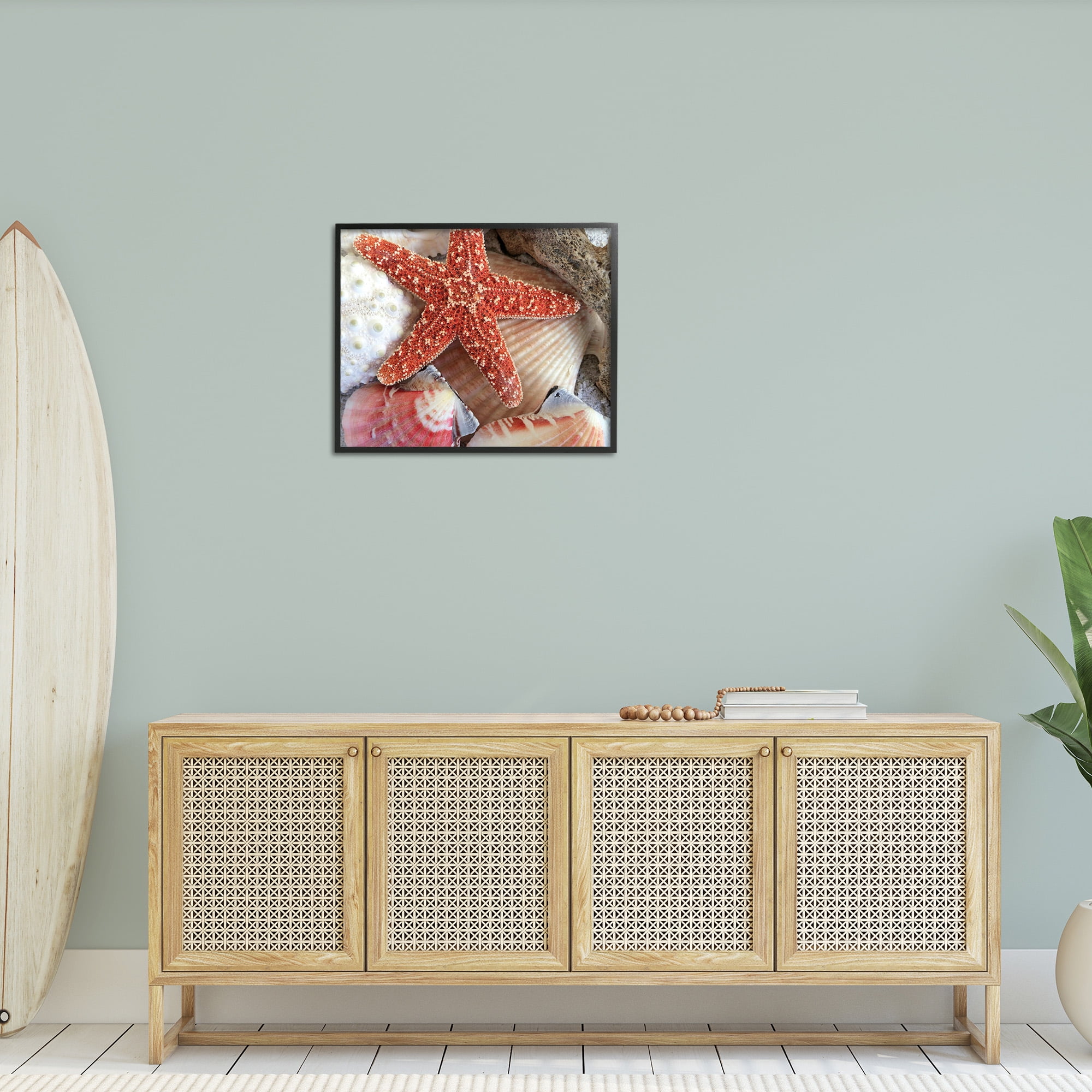 Stupell Industries Various Seashells Ashore Animals & Insects Photography Black Framed Art Print Wall Art, 30 x 24