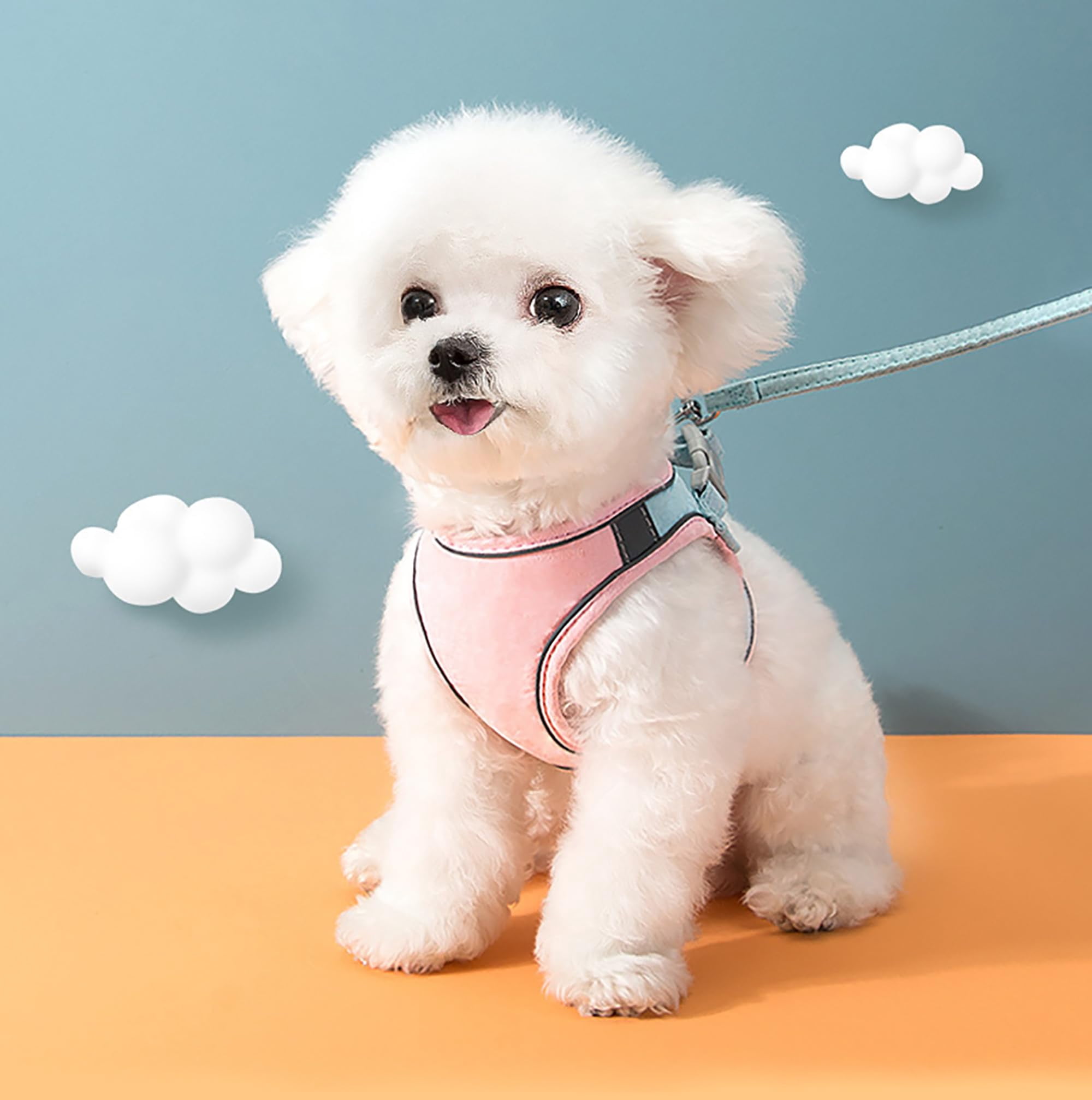 Pawras Cat Harness and Leash, Escape-Proof Vest Style Cat Harness and Leash, Breathable Soft Adjustable Escape Proof Cats Leash, Easy to Wear for Outdoor Walking(Blue, XL)