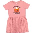 thumbnail image 3 of Inktastic Thanksgiving Big Sis Announcement Girls Toddler Dress, 3 of 5