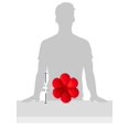 thumbnail image 4 of Living Health Products BTIF-002-10 2pcs Set - Inflatable Bath Cushion - Flower Red Terry Cloth, 4 of 4