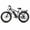 Matte black, variant on AMYET EB26 Electric Bike for Adults, 750W 28MPH Class 3, 48V 15Ah, 26" Fat Tire E-Mountain Bike, UL2849