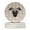Multicolor, variant on Argentine Pila Dog Merry Christmas Large Sandstone Coasters Pack of 4 4 in x 4 in